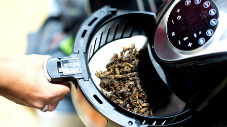6 Best Affordable Air Fryers of 2026