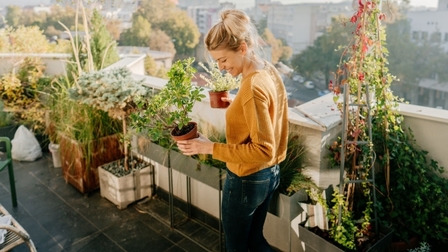 10 Best Vegetables For Small Garden