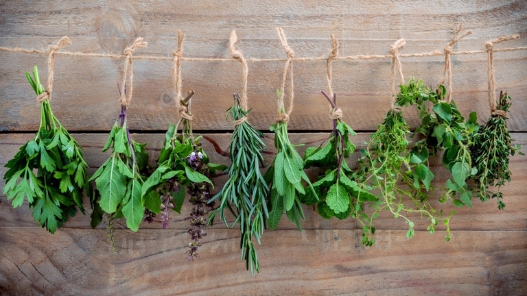 10 Best Vegetables For Small Garden