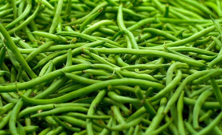 10 Best Vegetables For Small Garden