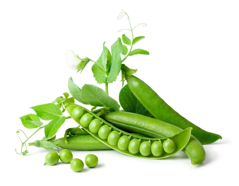 10 Best Vegetables For Small Garden