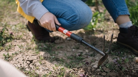 6 Best Garden Hoes of 2026