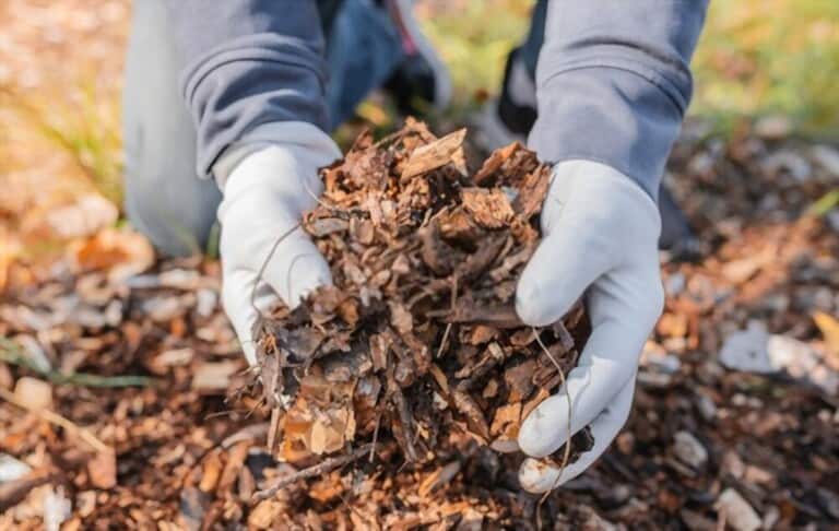 Benefits Of A Garden Shredder