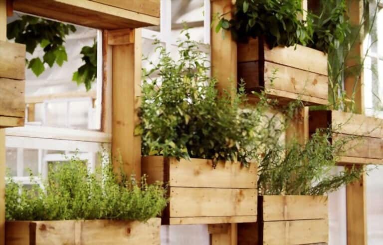 Different Types Of Gardening Methods