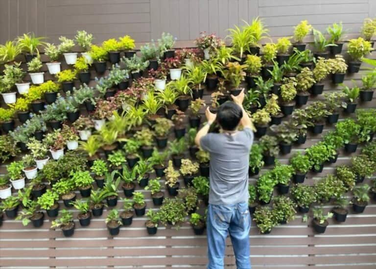 Different Types Of Gardening Methods