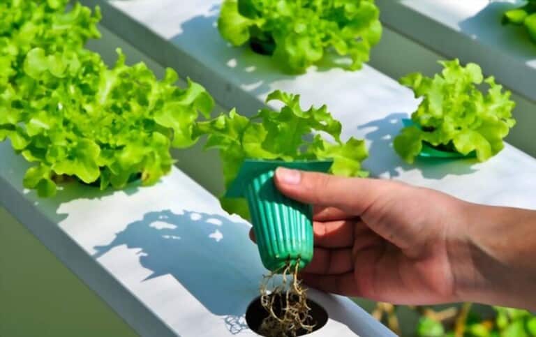 Different Types Of Gardening Methods