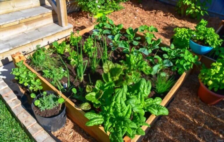 Different Types Of Gardening Methods