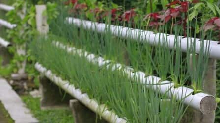 Different Types Of Gardening Methods