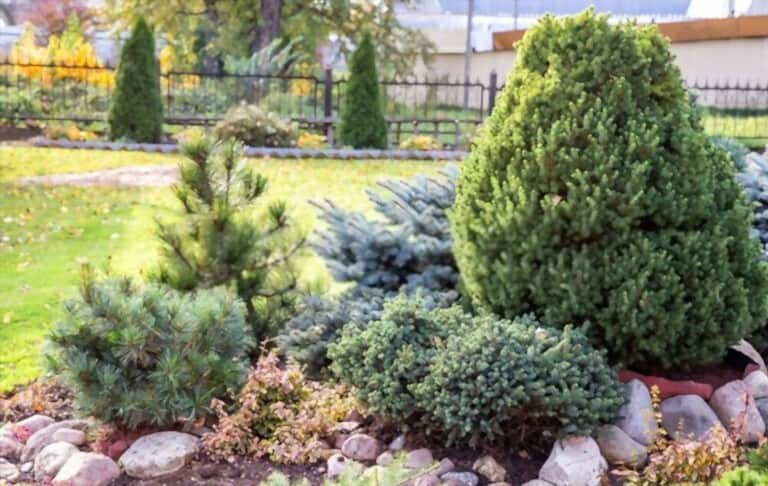 Different Types Of Gardening