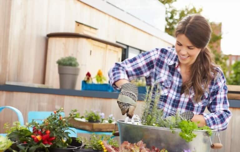 Different Types Of Gardening