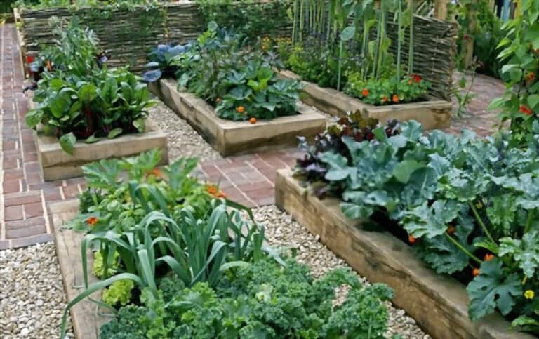 Different Types Of Gardening