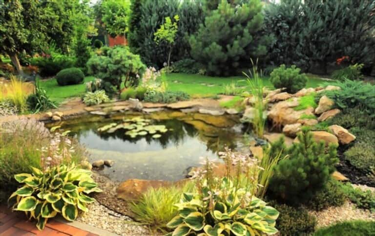 Different Types Of Gardening