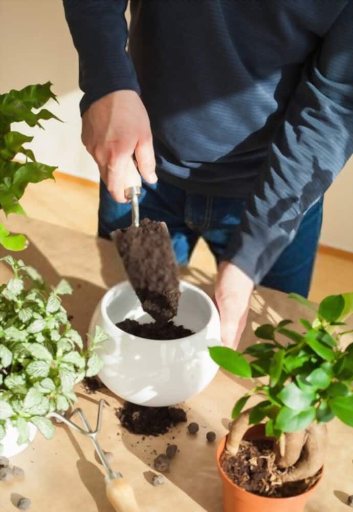 Different Types Of Gardening Tools