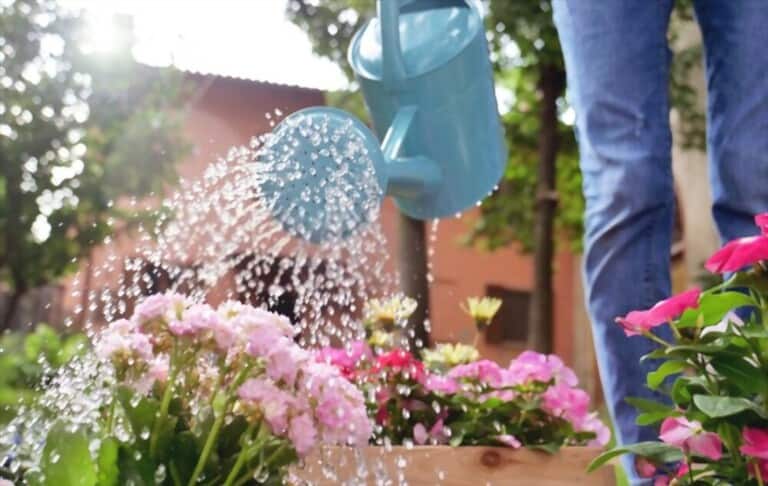 Different Types Of Gardening Tools