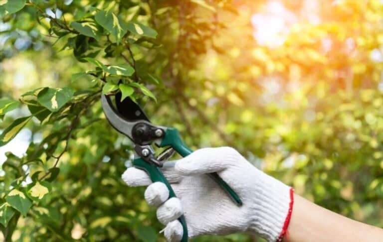 Different Types Of Gardening Tools