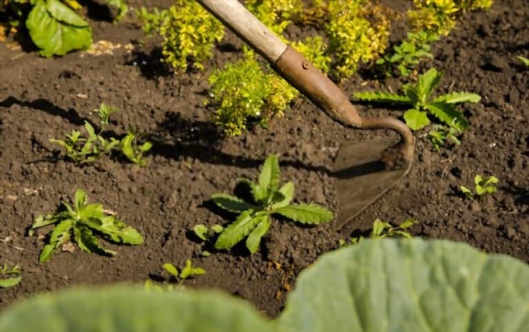 Different Types Of Gardening Tools