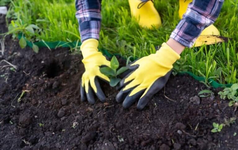 Different Types Of Gardening Tools