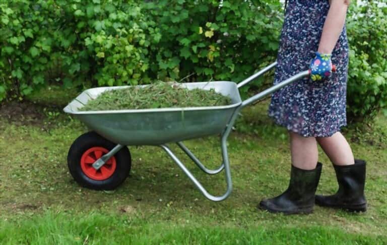 Different Types Of Gardening Tools