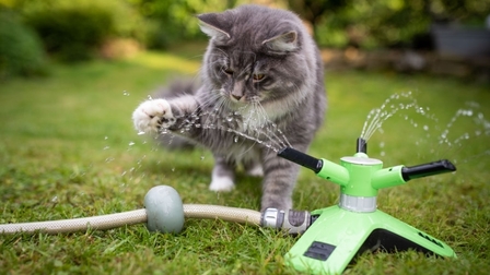 6 Best Lawn Sprinklers of 2026