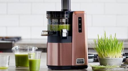 6 Best Hurom Slow Juicers of 2026