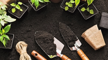 6 Best Garden Trowel of 2026