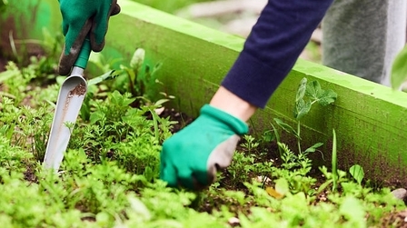 6 Best Organic Potting Soil for Herbs of 2026