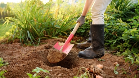 6 Best Shovels For Digging of 2026