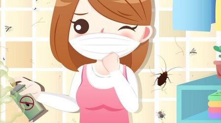 6 Best Insecticides for Spiders of 2026