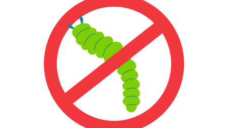 6 Best Grub Killer For Lawn of 2026