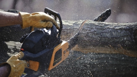 6 Best Chainsaw for Firewood of 2026