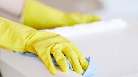 5 Best Garbage Disposal Cleaner of 2026
