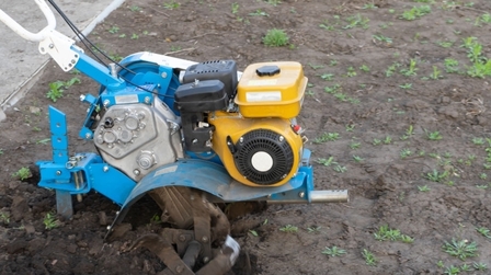 6 Best Small Garden Tillers of 2026