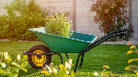 6 Best Wheelbarrows for Gardening of 2026