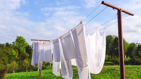 6 Best Folding Clothesline of 2026