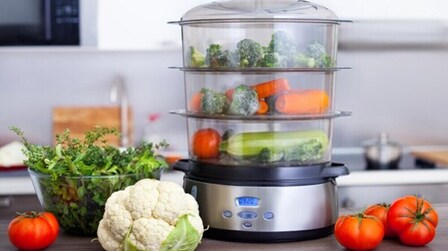 6 Best Electric Steamer for Vegetables of 2026