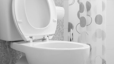 6 Best Toilet for Heavy Person of 2026