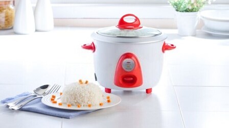 6 Best Rice Cooker for One Person of 2026