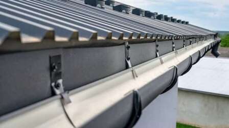 6 Best Gutters for Pine Needles of 2026