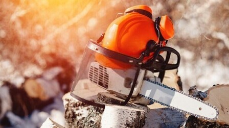 6 Best Chainsaw Safety Helmet of 2026 6 Best Chainsaw Safety Helmet of 2026