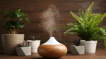 6 Best Humidifiers for Sinuses of 2026