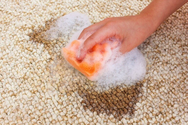 How To Clean A Cooking Oil Spill How To Clean A Cooking Oil Spill