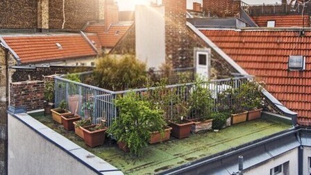 How to Set Up A Rooftop Garden How to Set Up A Rooftop Garden