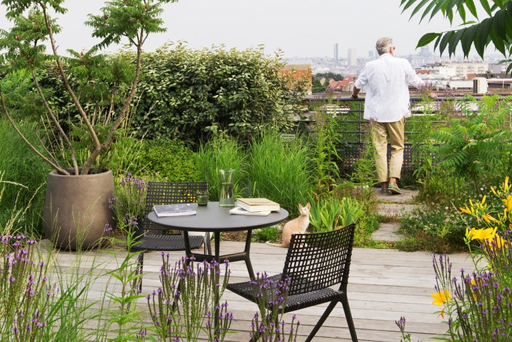 How to Set Up A Rooftop Garden