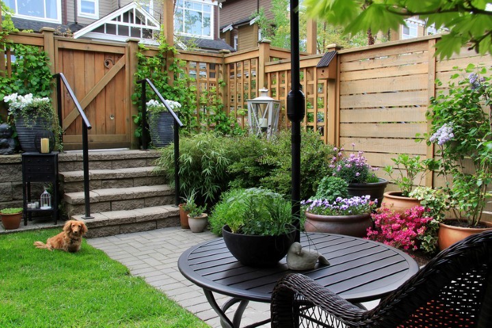 How to Set Up A Rooftop Garden