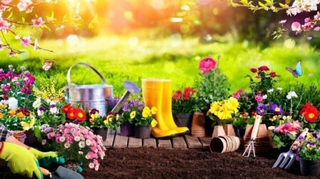 Benefits of Gardening for Children