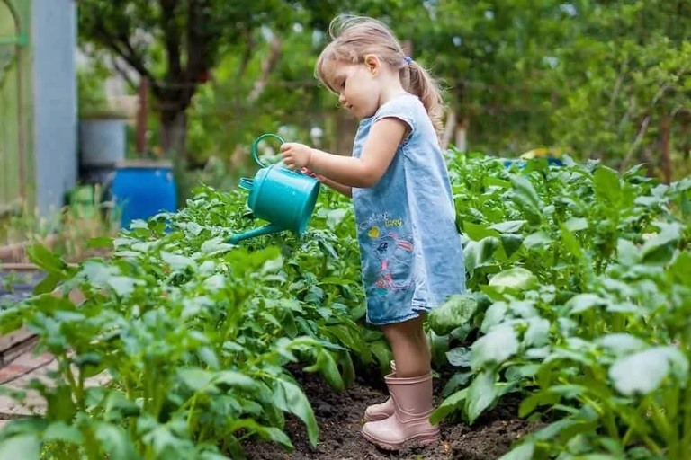 Benefits of Gardening for Children