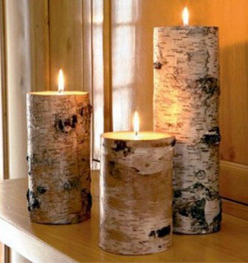 Ideas of Tree Bark Designs