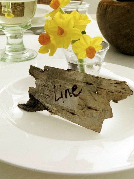Ideas of Tree Bark Designs