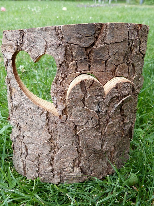 Ideas of Tree Bark Designs