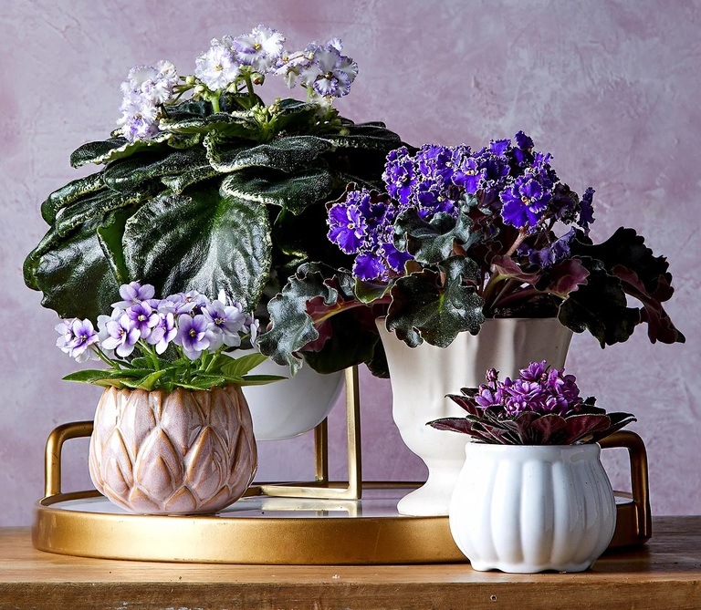 Ideas for Garden Style Flower Arrangements